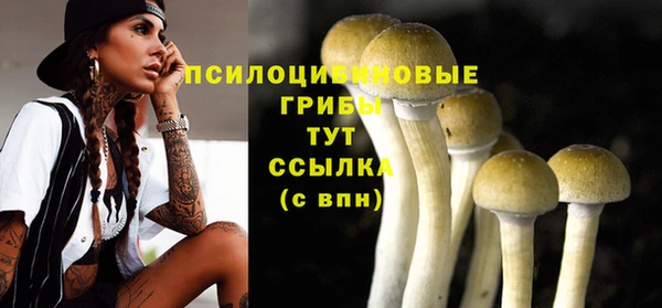 дживик Вяземский