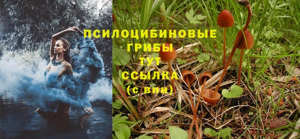 бутират Вязьма