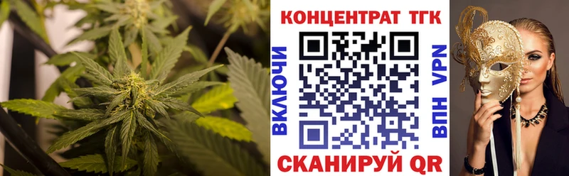 дарнет шоп  Норильск  ТГК THC oil 